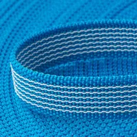 Textile PPM Webbing 'Blue' 20 mm With Rubber Tracers