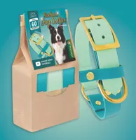 DIY Kit ''Caribbean Lagune'' - Make Your Own Dog Collar