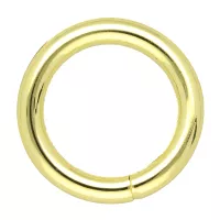 O-Ring Gold 20 x 4 mm