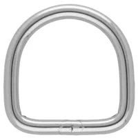Stainless Steel 25 x 4 mm D-Ring High