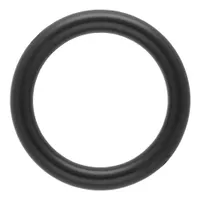 O-Ring Black 25 x 4 mm Plastic