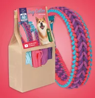 DIY Kit ''Purplelicious'' - Make Your Own Dog Collar